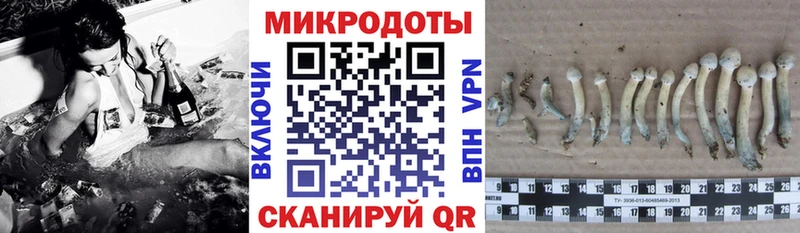 Псилоцибиновые грибы ЛСД  Салехард 